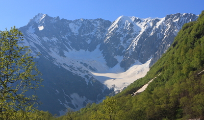 Ледники